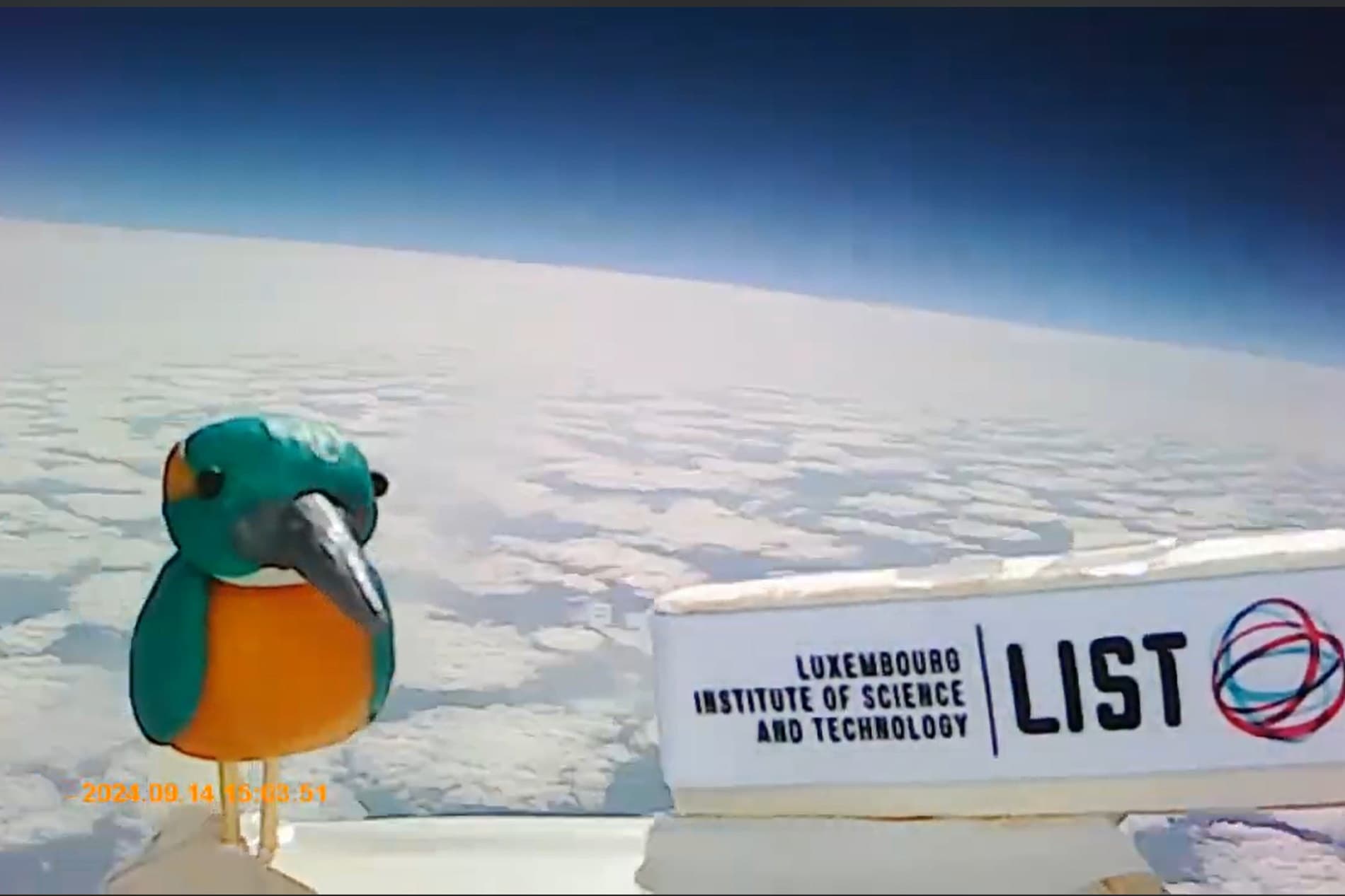View from the weather balloon payload above the cloud layer